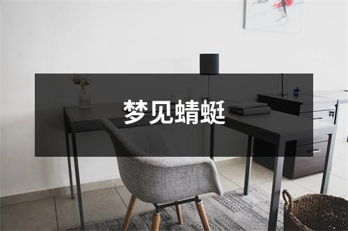 <h3>梦见蜻蜓