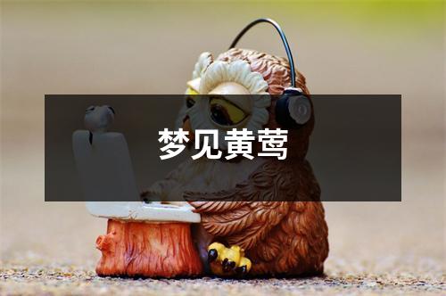 <h3>梦见黄莺