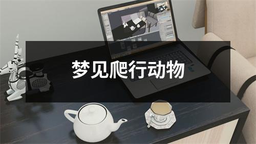 <h3>梦见爬行动物