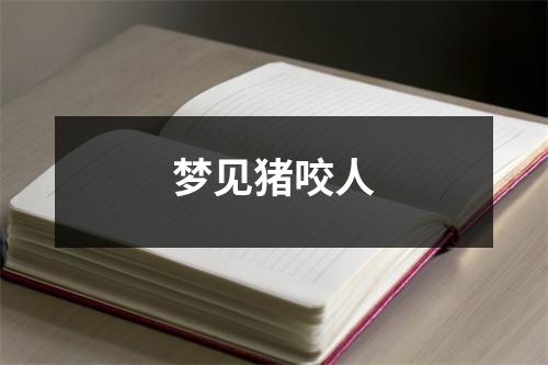 梦见猪咬人
