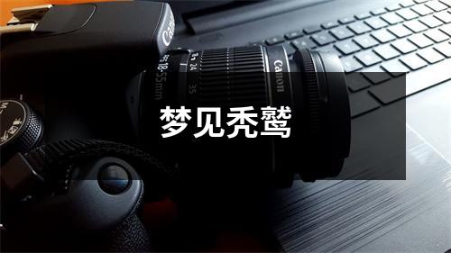 <h3>梦见秃鹫