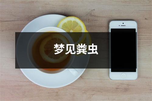 <h3>梦见粪虫