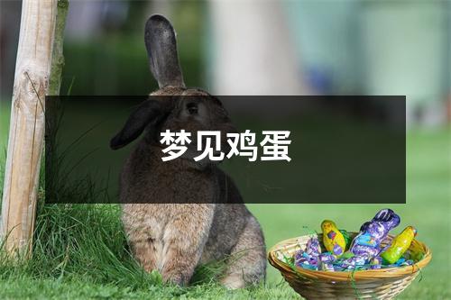 <h3>梦见鸡蛋