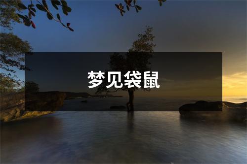 <h3>梦见袋鼠