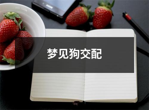 <h3>梦见狗交配