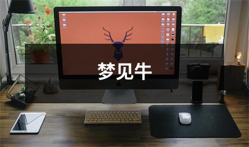 <h3>梦见牛