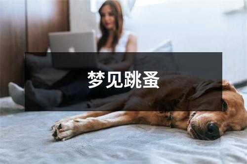 梦见跳蚤