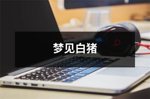 <h3>梦见白猪