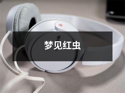 <h3>梦见红虫