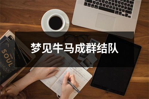 <h3>梦见牛马成群结队