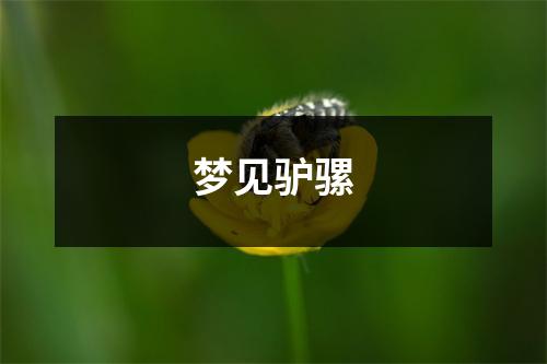 <h3>梦见驴骡