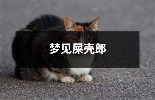 <h3>梦见屎壳郎