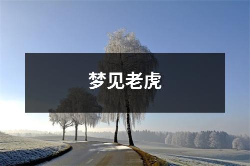 <h3>梦见老虎