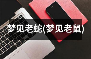 <h3>梦见老蛇(梦见老鼠)