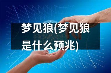 <h3>梦见狼(梦见狼是什么预兆)
