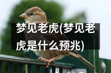 梦见老虎(梦见老虎是什么预兆)