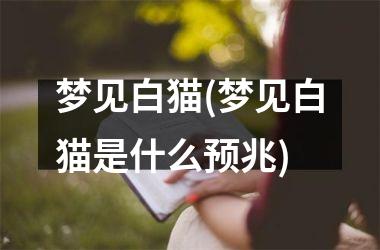 梦见白猫(梦见白猫是什么预兆)