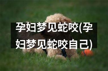 <h3>孕妇梦见蛇咬(孕妇梦见蛇咬自己)