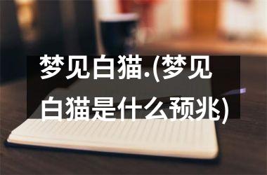 <h3>梦见白猫.(梦见白猫是什么预兆)