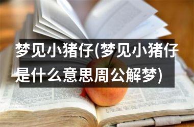 梦见小猪仔(梦见小猪仔是什么意思周公解梦)