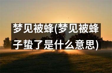 <h3>梦见被蜂(梦见被蜂子蛰了是什么意思)