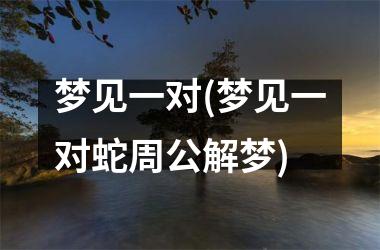 <h3>梦见一对(梦见一对蛇周公解梦)