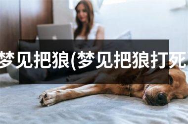 <h3>梦见把狼(梦见把狼打死)