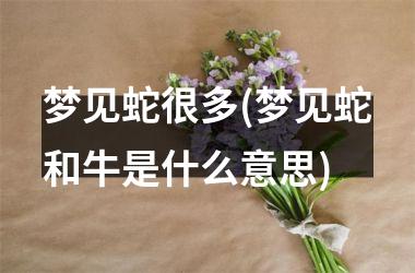 <h3>梦见蛇很多(梦见蛇和牛是什么意思)