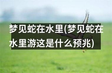 梦见蛇在水里(梦见蛇在水里游这是什么预兆)
