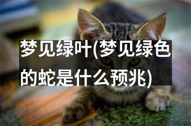 <h3>梦见绿叶(梦见绿色的蛇是什么预兆)