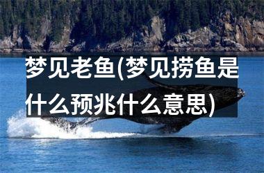 <h3>梦见老鱼(梦见捞鱼是什么预兆什么意思)