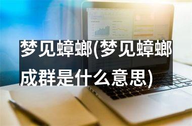 <h3>梦见蟑螂(梦见蟑螂成群是什么意思)