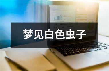 梦见白色虫子