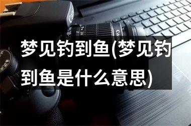 <h3>梦见钓到鱼(梦见钓到鱼是什么意思)