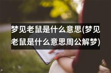 <h3>梦见老鼠是什么意思(梦见老鼠是什么意思周公解梦)