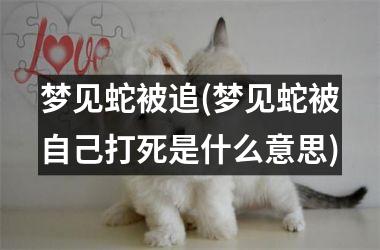 <h3>梦见蛇被追(梦见蛇被自己打死是什么意思)