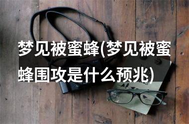 <h3>梦见被蜜蜂(梦见被蜜蜂围攻是什么预兆)