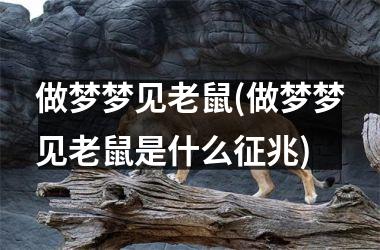 <h3>做梦梦见老鼠(做梦梦见老鼠是什么征兆)