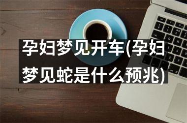 <h3>孕妇梦见开车(孕妇梦见蛇是什么预兆)