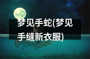 <h3>梦见手蛇(梦见手缝新衣服)