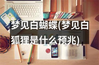 <h3>梦见白蝴蝶(梦见白狐狸是什么预兆)