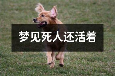 <h3>梦见死人还活着