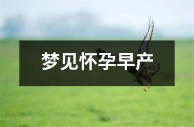 <h3>梦见怀孕早产