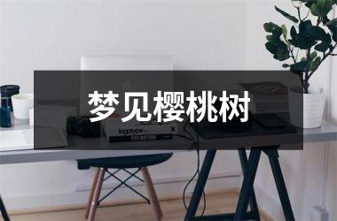 <h3>梦见樱桃树