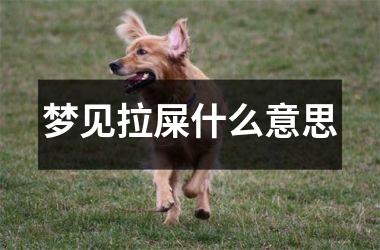 梦见拉屎什么意思