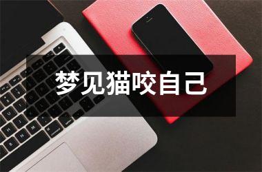 <h3>梦见猫咬自己