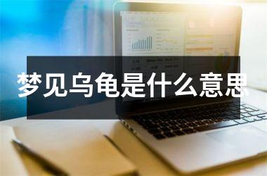 <h3>梦见乌龟是什么意思