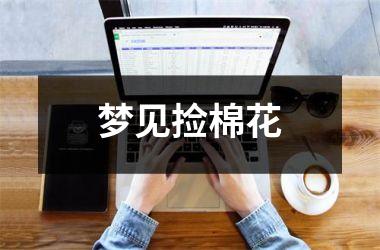 <h3>梦见捡棉花