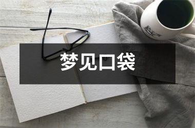 <h3>梦见口袋