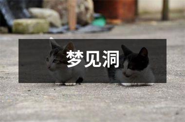 梦见洞